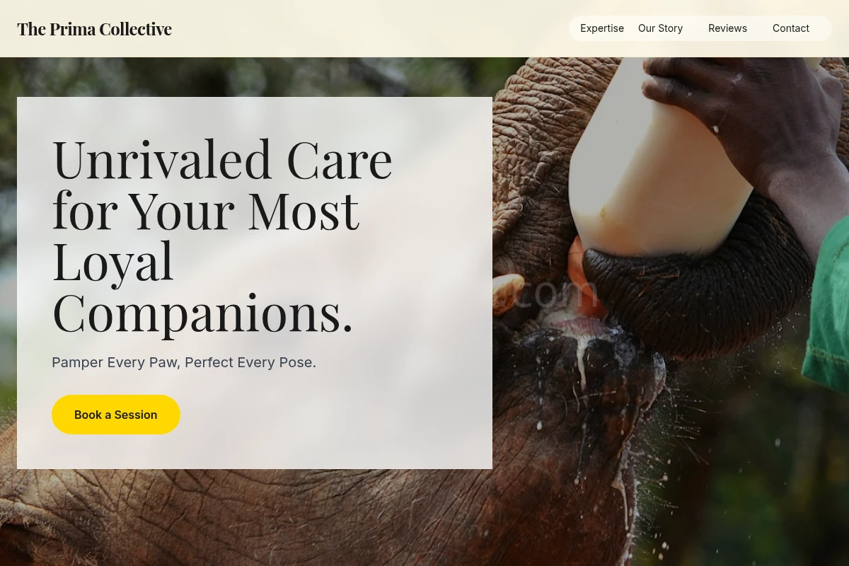 Diamond Animal Care
