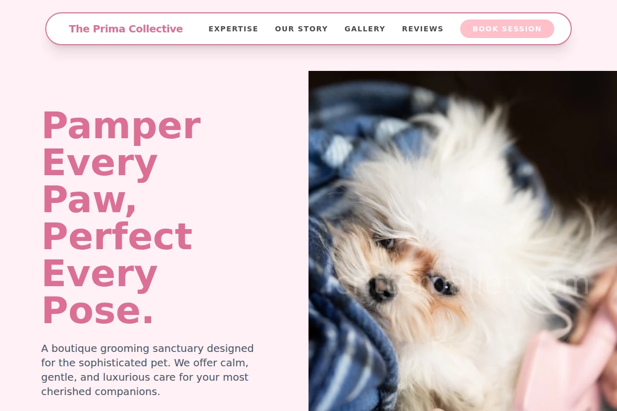 Velvet Pet Grooming