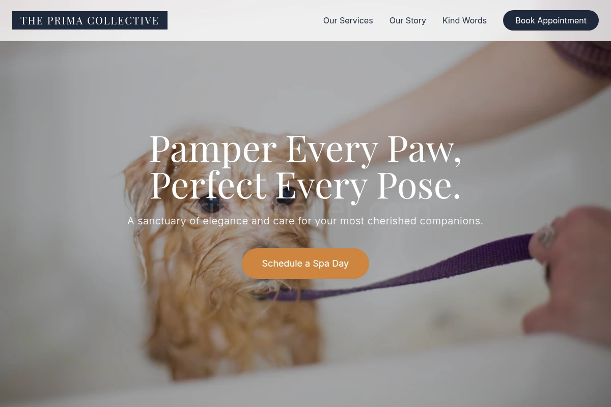 Tutu Pet Grooming
