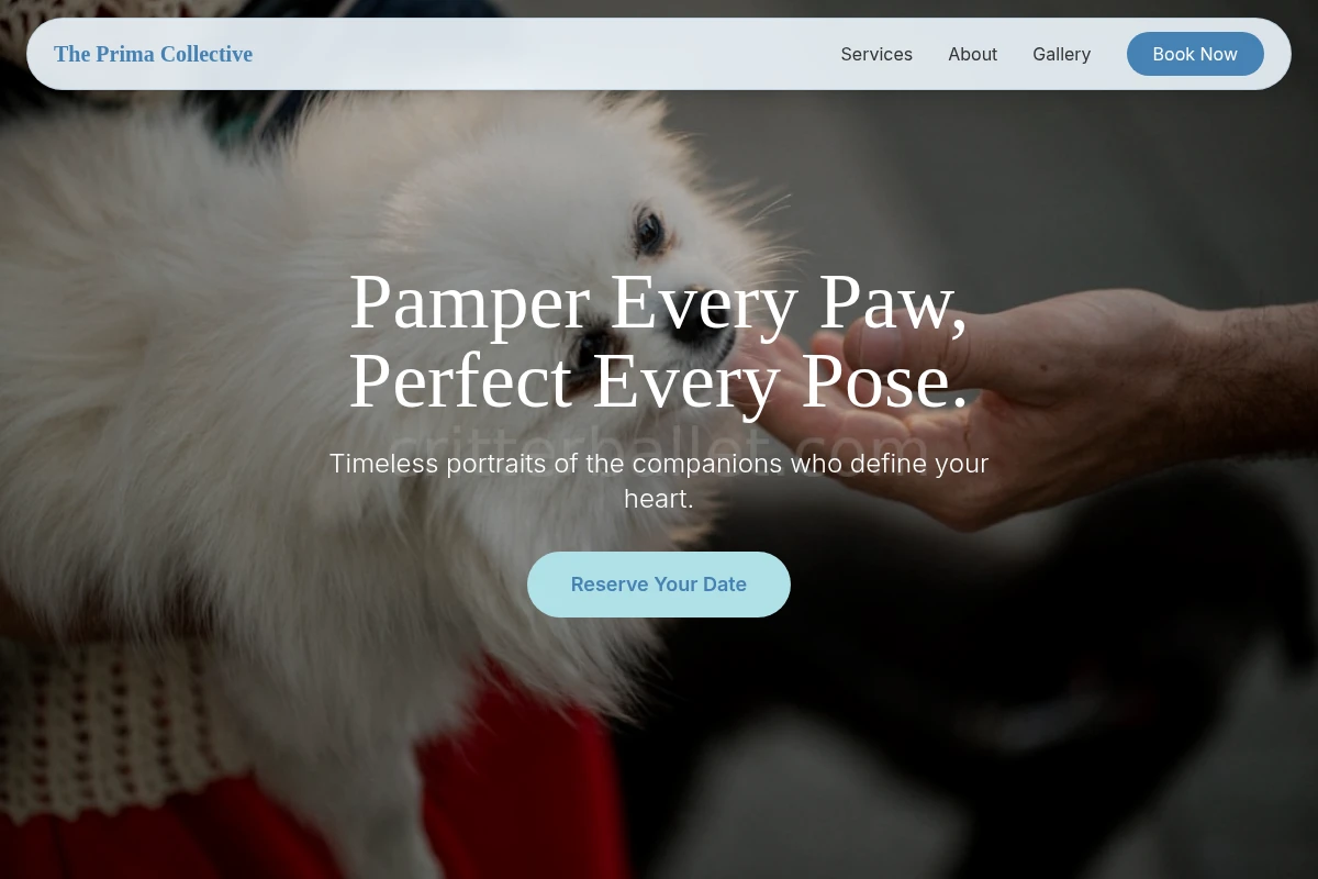 Gallery Pet Photography